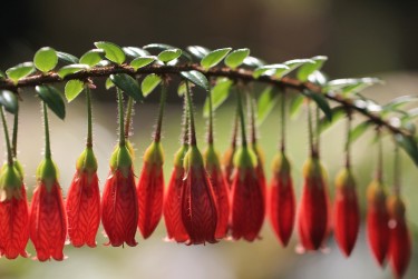 东莞凤岗私人快速借钱网，轻松解决资金难题