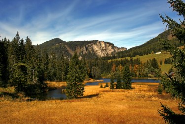 东莞凤岗民间私贷攻略：揭秘低成本借贷的秘密